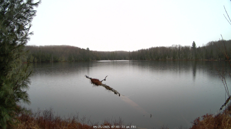 Image from 2025-04-25