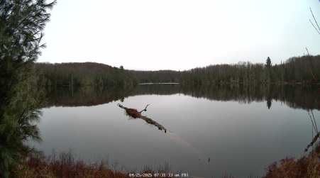 Image from 2025-04-25