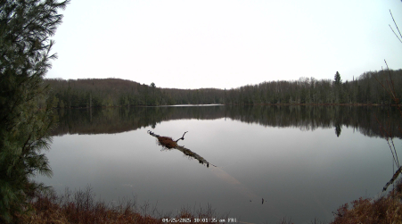 Image from 2025-04-25