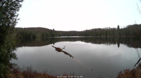 Image from 2025-04-25