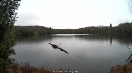 Image from 2025-04-25