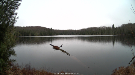 Image from 2025-04-25