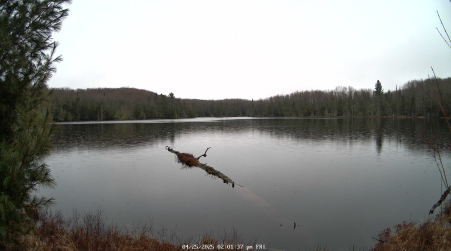 Image from 2025-04-25