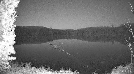 Image from 2025-04-26