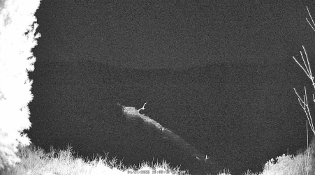 Image from 2025-04-27
