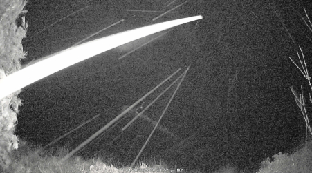 Image from 2025-04-28