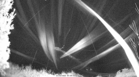 Image from 2025-04-28