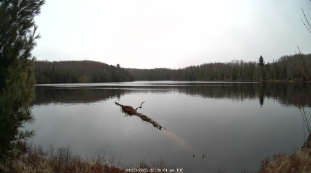 Image from 2025-04-29