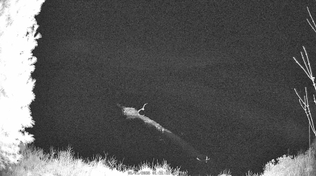 Image from 2025-05-01