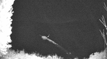 Image from 2025-05-01