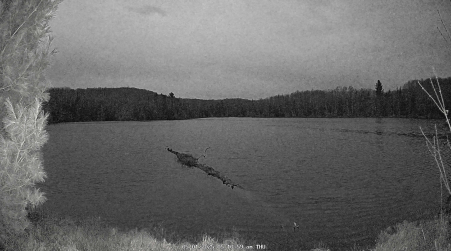 Image from 2025-05-01