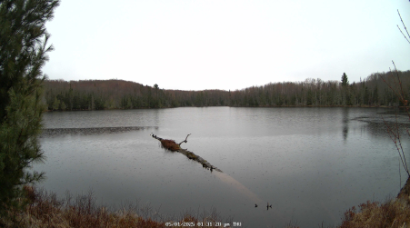 Image from 2025-05-01