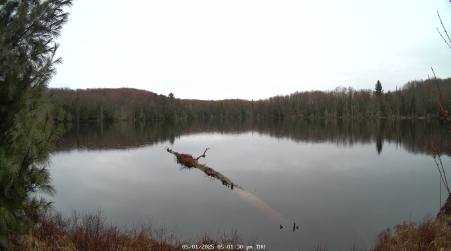 Image from 2025-05-01
