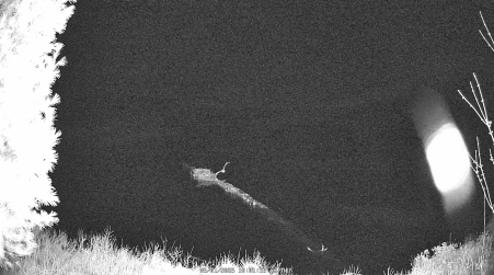 Image from 2025-05-01
