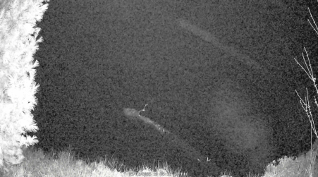 Image from 2025-05-01
