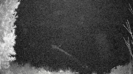 Image from 2025-05-01