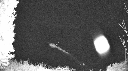 Image from 2025-05-01