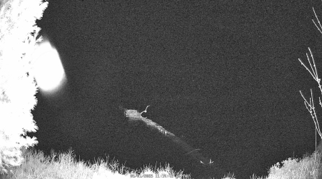 Image from 2025-05-01