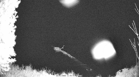 Image from 2025-05-01