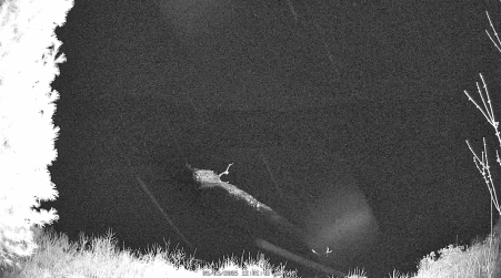 Image from 2025-05-03
