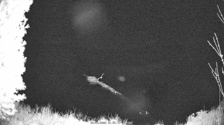 Image from 2025-05-03