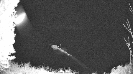 Image from 2025-05-03