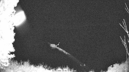 Image from 2025-05-03