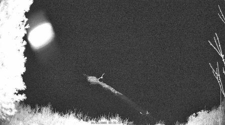 Image from 2025-05-03