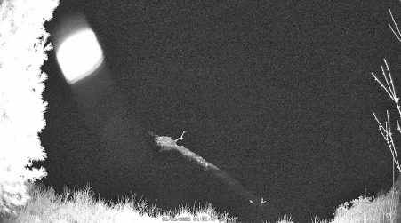 Image from 2025-05-03