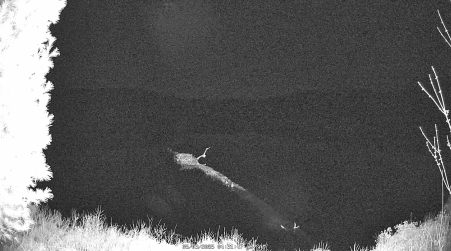 Image from 2025-05-03