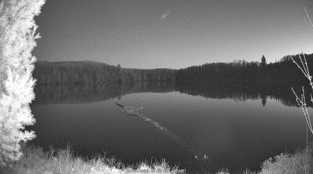 Image from 2025-05-03