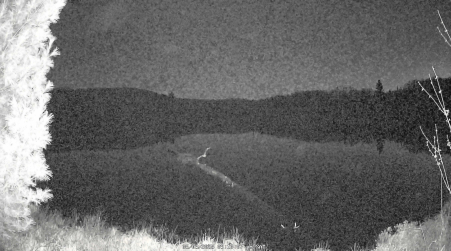 Image from 2025-05-03