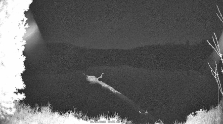 Image from 2025-05-03