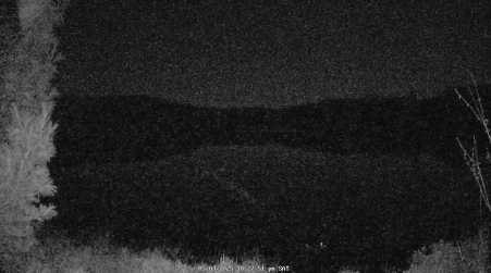 Image from 2025-05-03