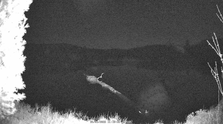 Image from 2025-05-03