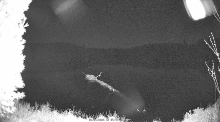 Image from 2025-05-04