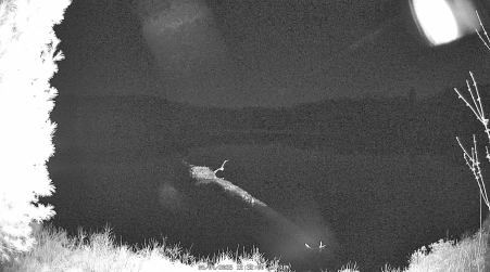 Image from 2025-05-04