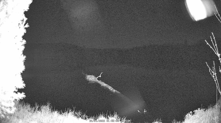 Image from 2025-05-04