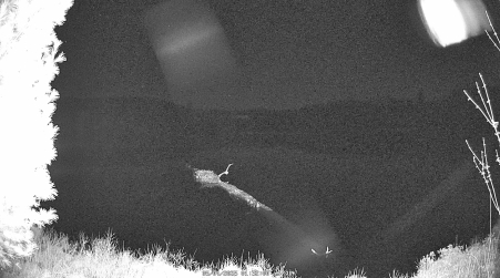 Image from 2025-05-04