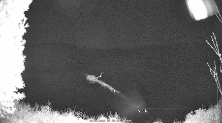 Image from 2025-05-04
