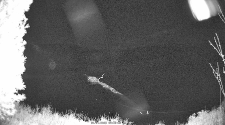 Image from 2025-05-04