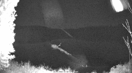 Image from 2025-05-04