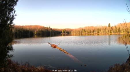 Image from 2025-05-04