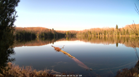 Image from 2025-05-04