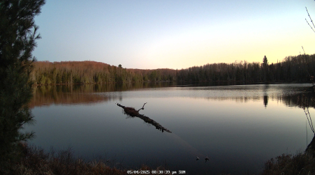 Image from 2025-05-04