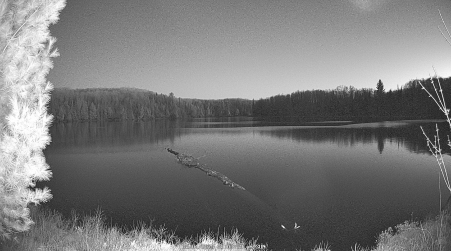Image from 2025-05-04