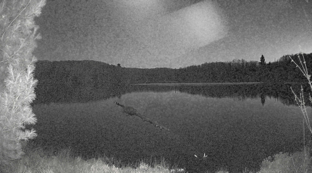 Image from 2025-05-04