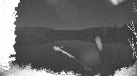 Image from 2025-05-04