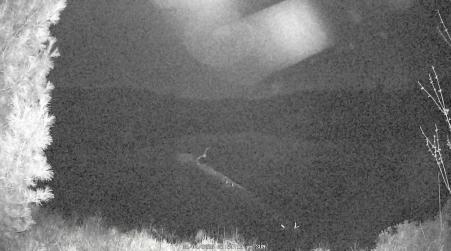 Image from 2025-05-04