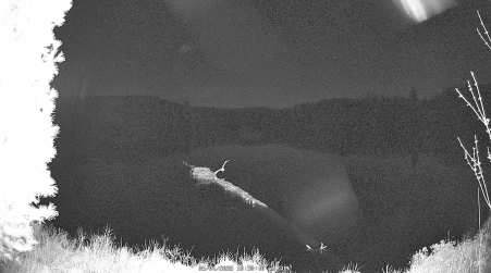 Image from 2025-05-04